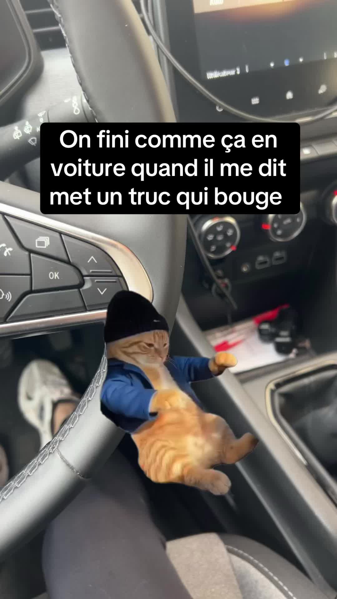 @🇫🇷 Madame C 🇧🇪