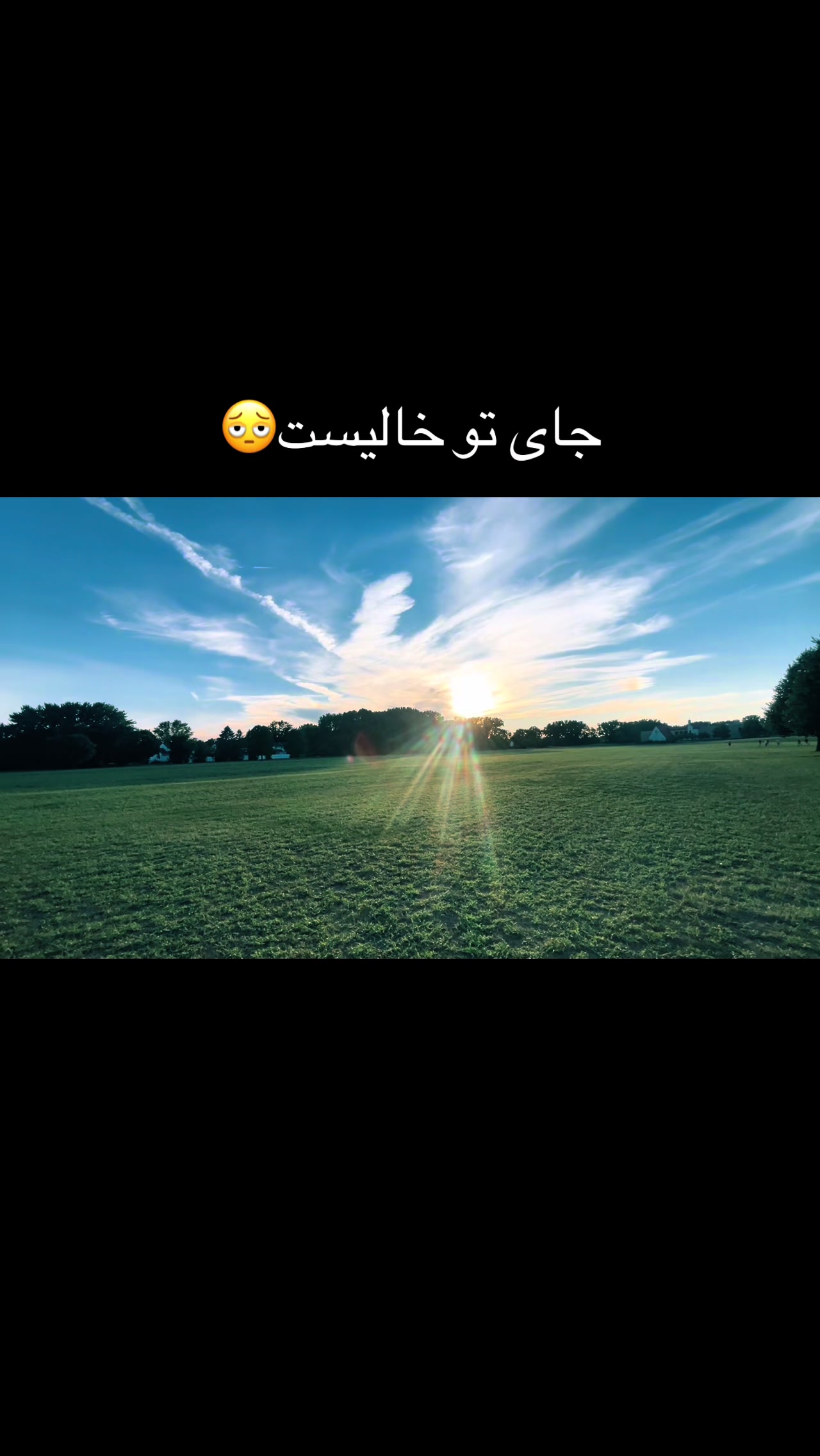 @Hani