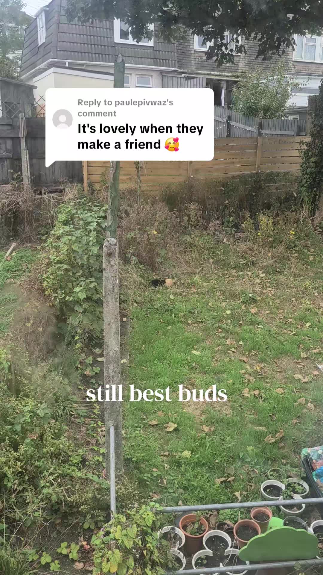 @A Cornish Witch