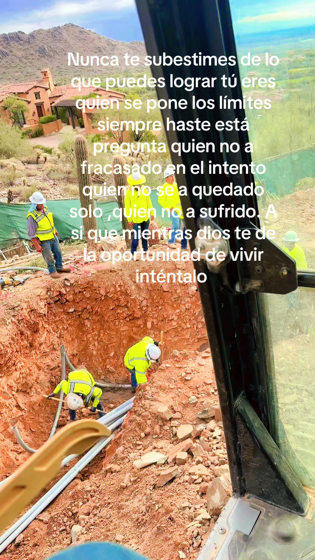 @Cristobal lince