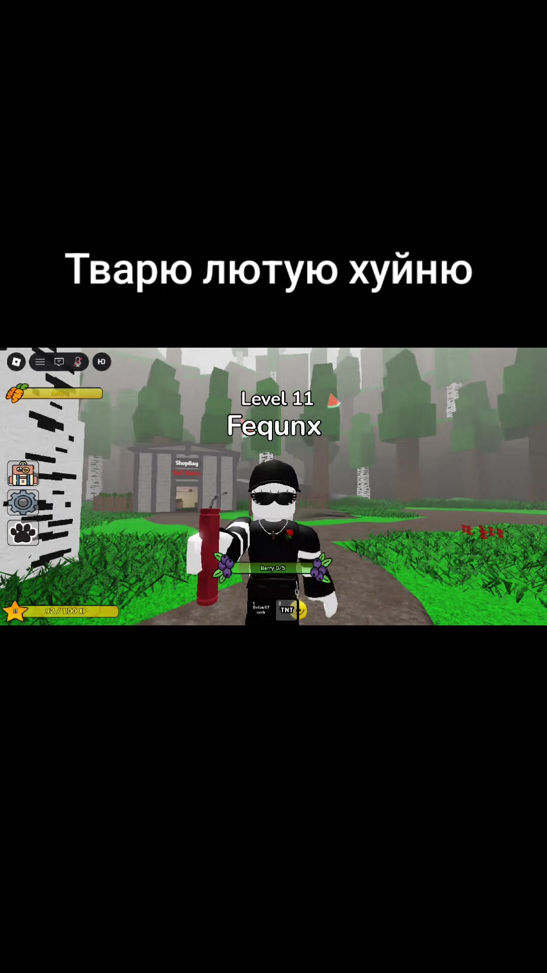 @feqinx