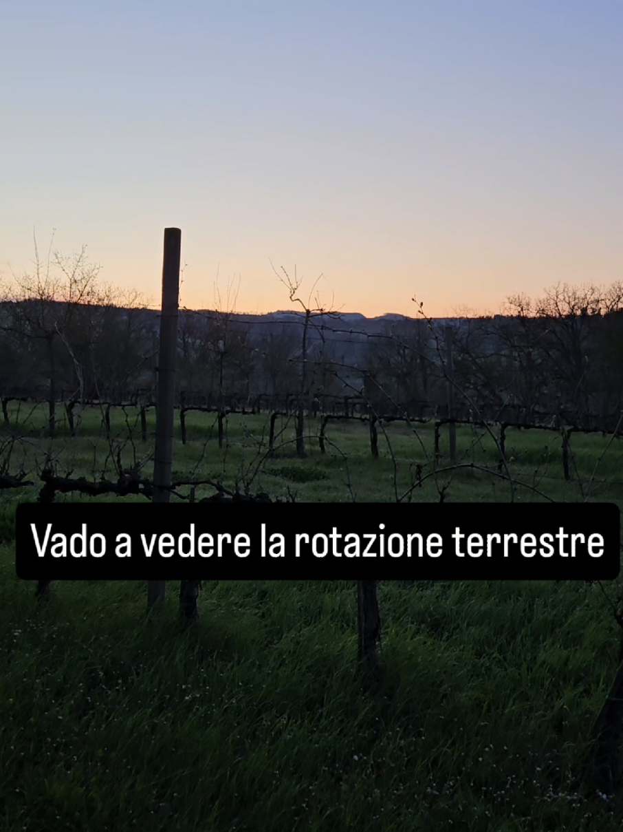 @Luca Nardi