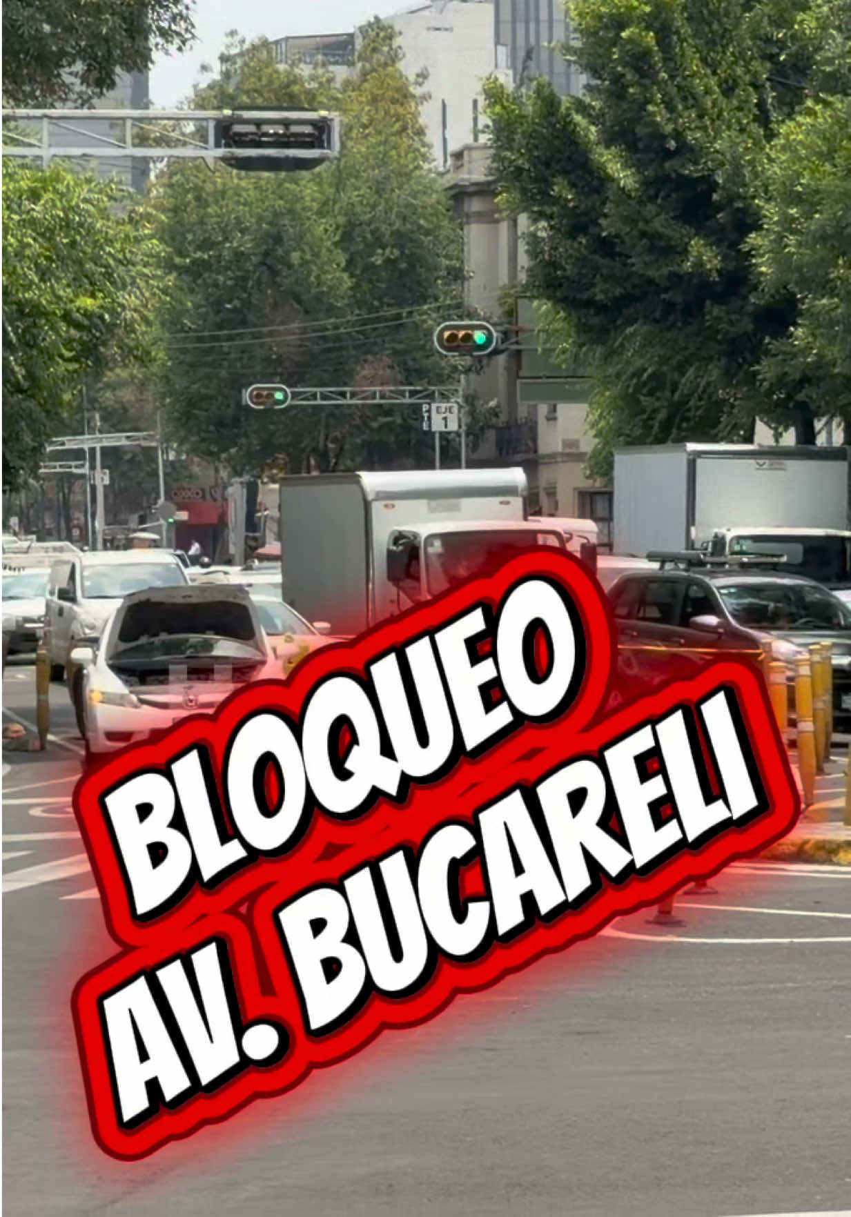 @HalconOnce