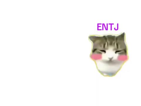 @Nolv.MBTI
