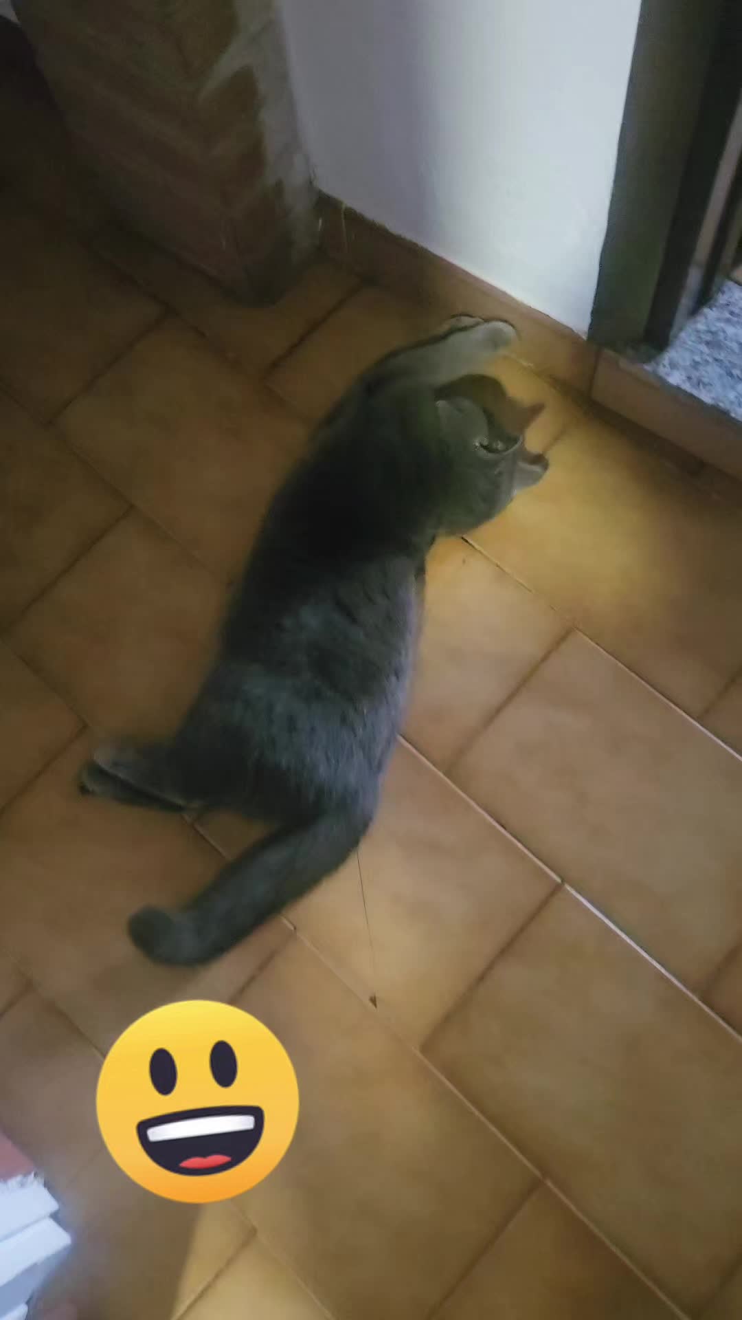 @🐺PANTERA80🐺