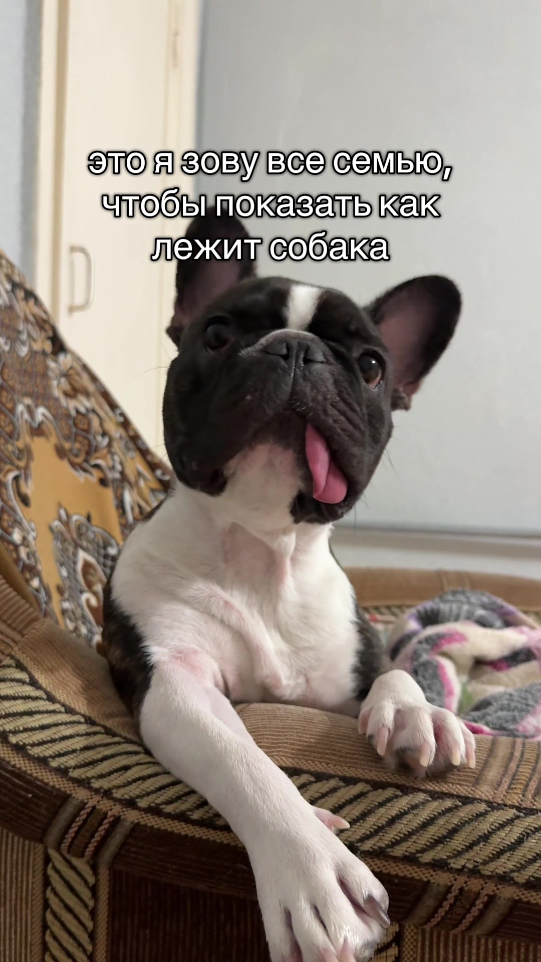 @кекс