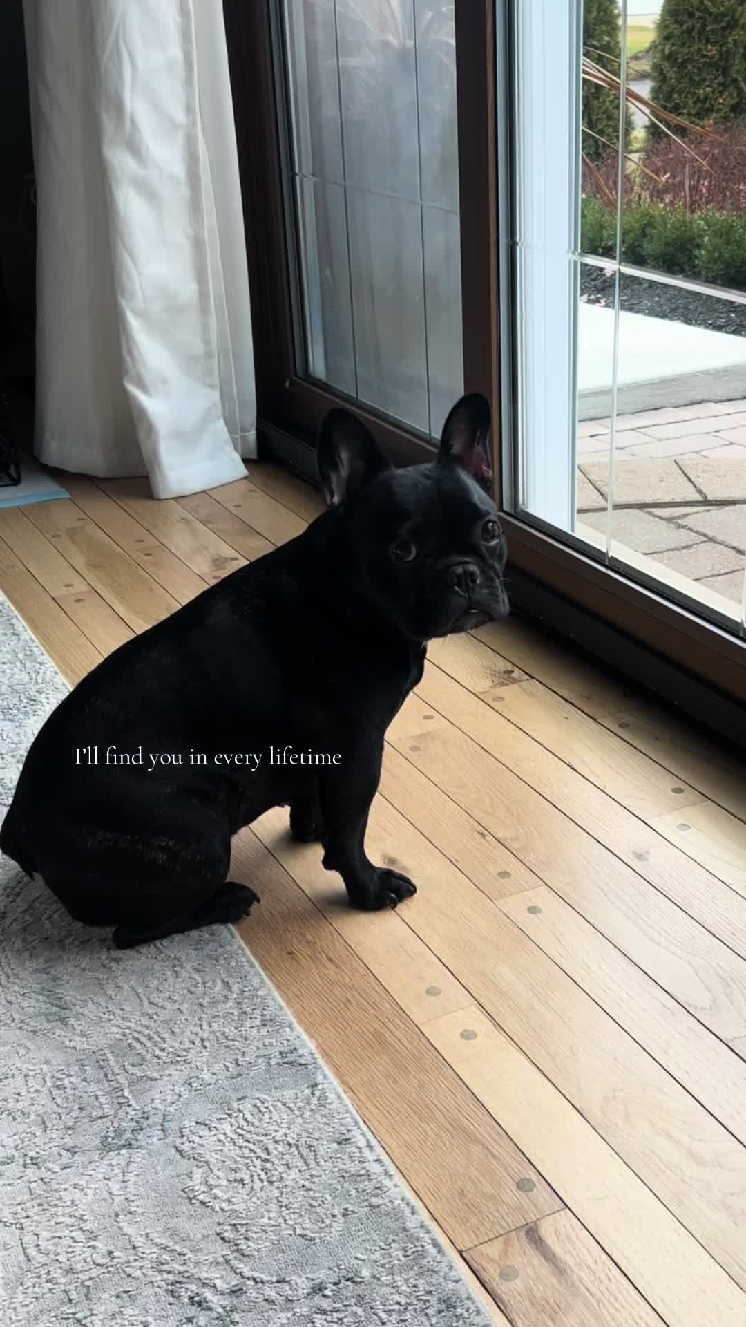 @serene