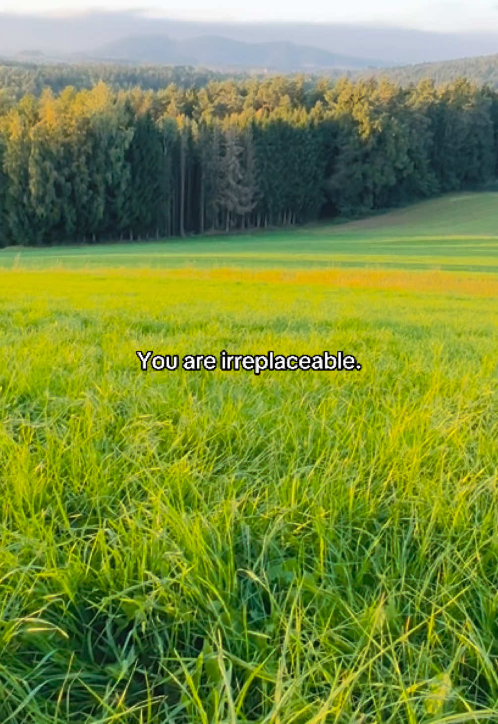 @Tarmak