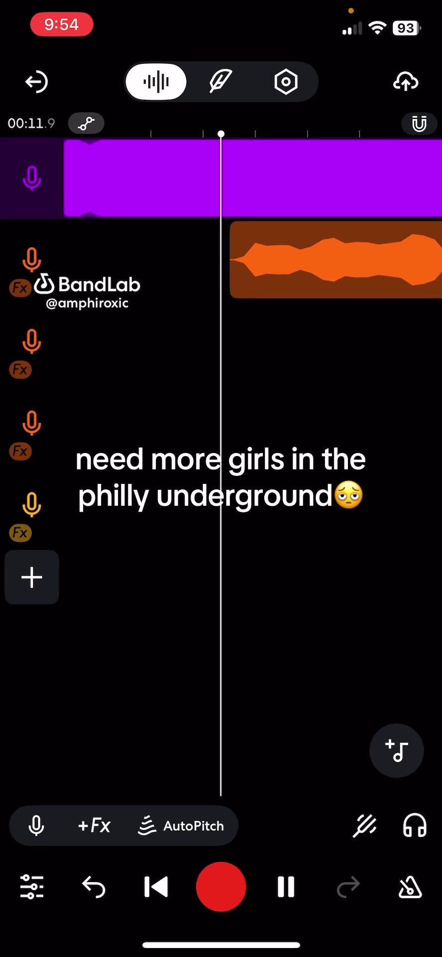 @amphiroxica