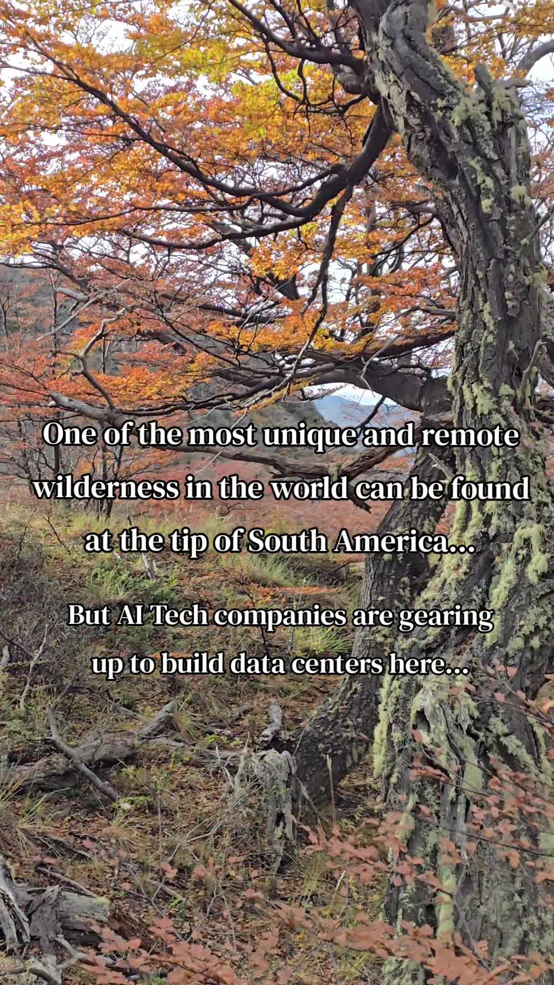 @LiberalOnTravel