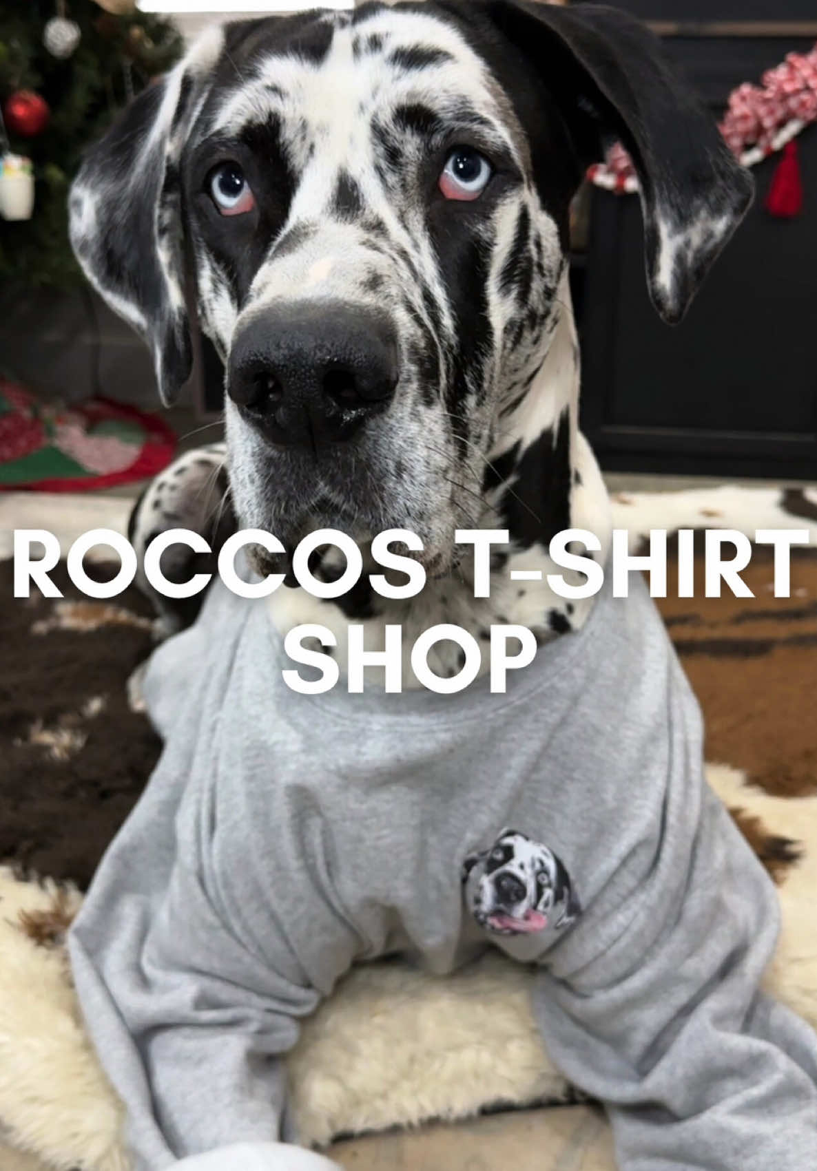 @Rocco
