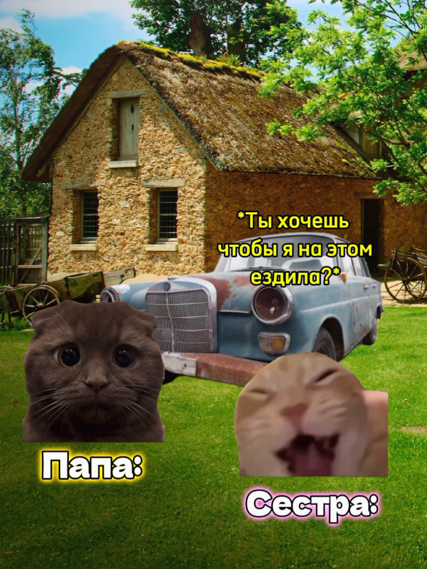@MisterCat