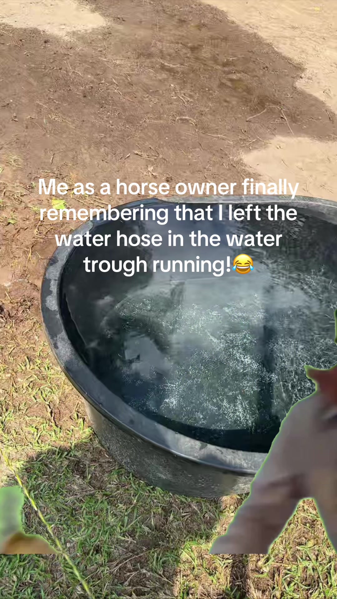 @holly_wood2427