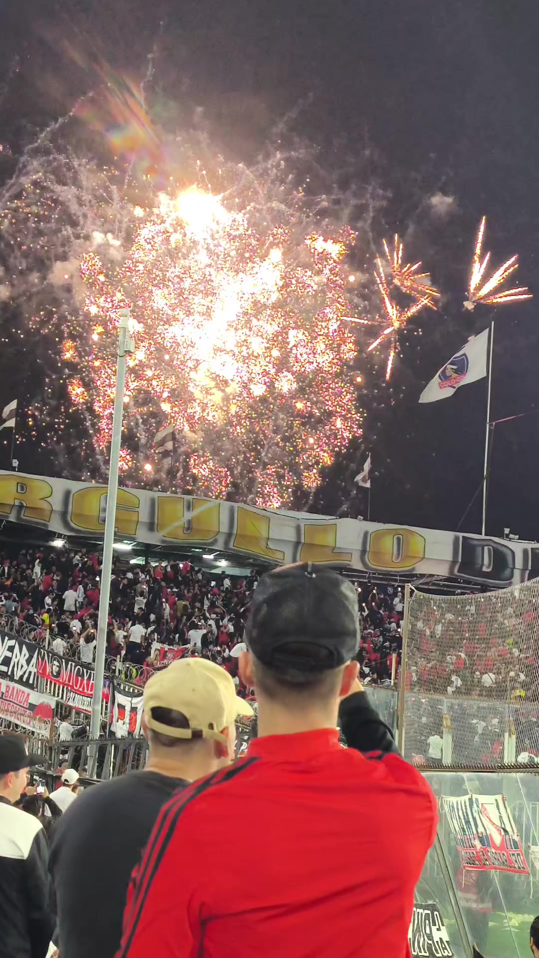 @indumentaria_colocolo_6