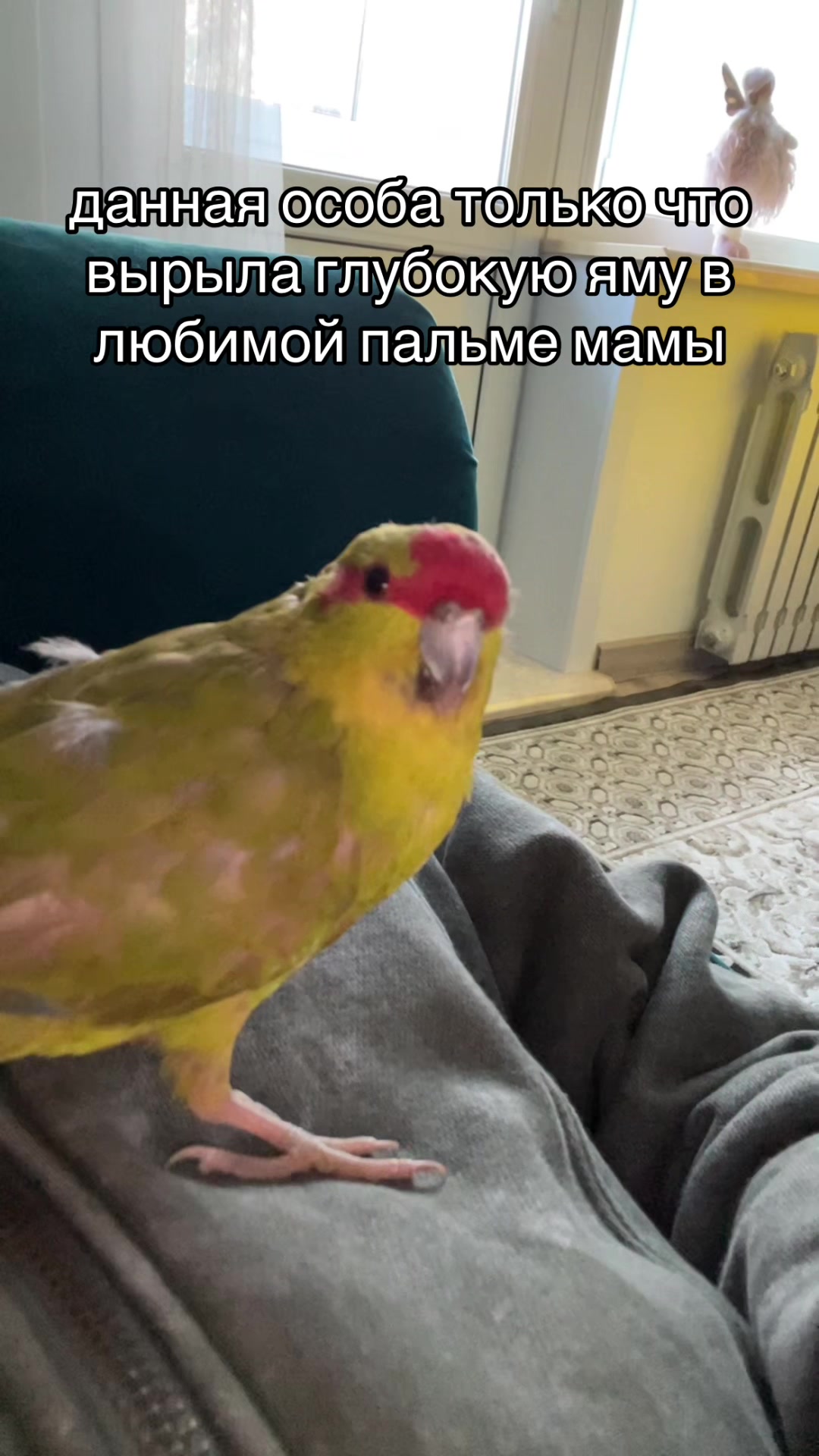 @[☑️] 𝑵𝑰𝑵𝑬𝑳𝑺𝑲𝑨𝒀𝑨1