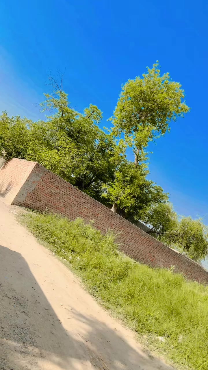 @꧁༺༒〖&deg;𝕤𝕠𝕙𝕒𝕚𝕝&deg;〗༒༻꧂