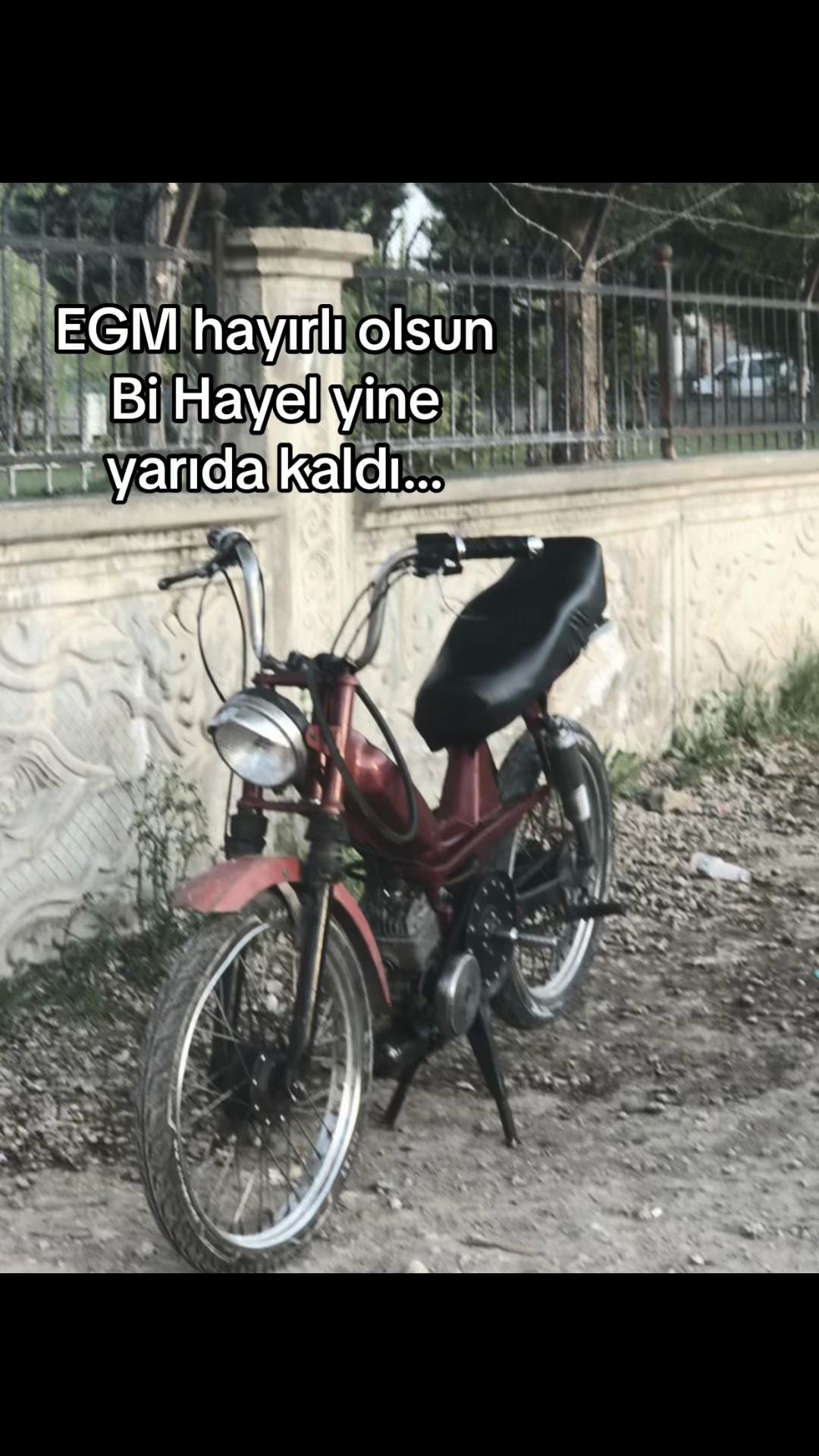 @mustafacigerci033