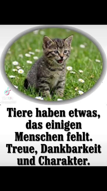 @Birgit Berger ( Biggi )