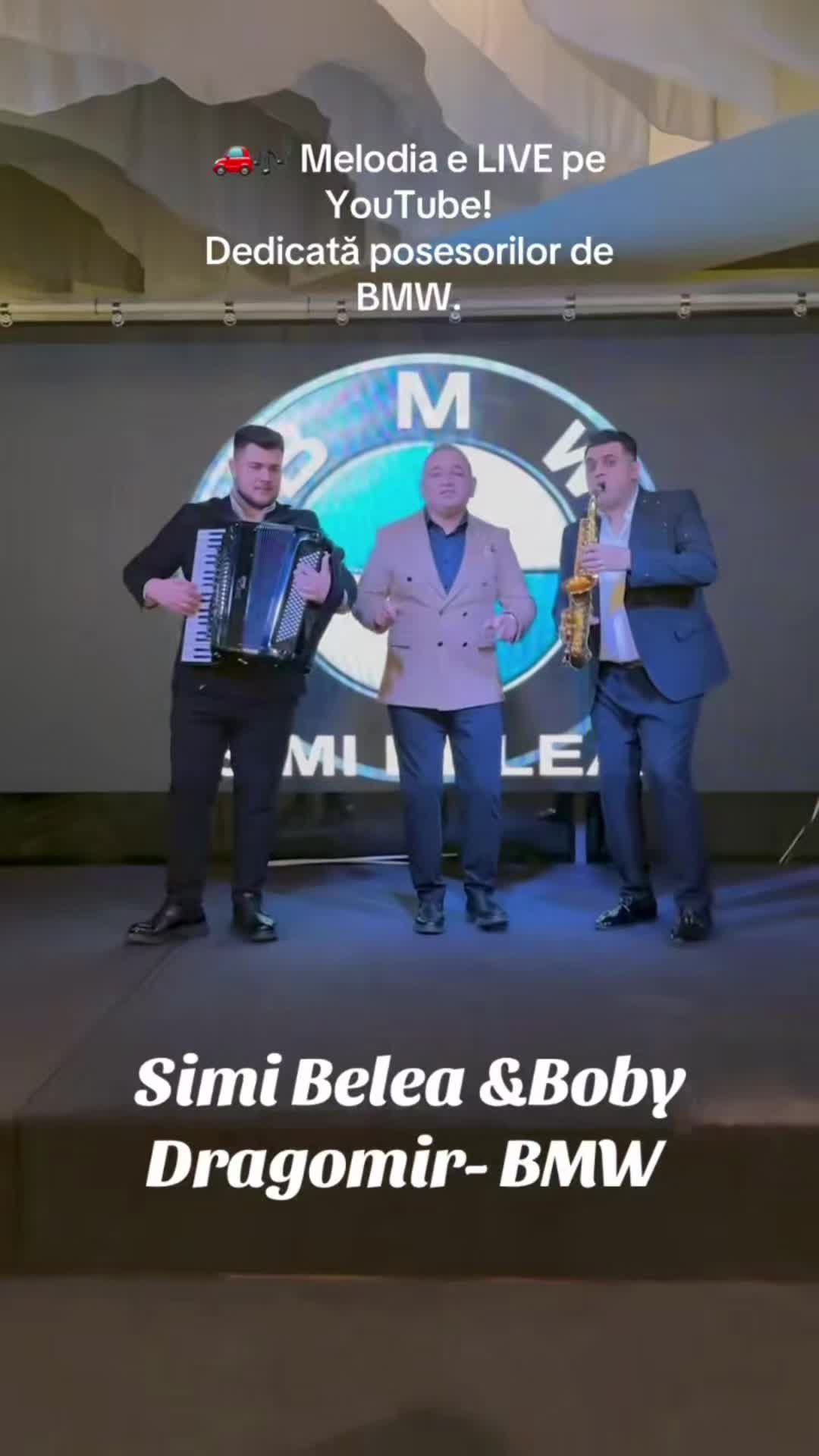 @Vladik Fieraru