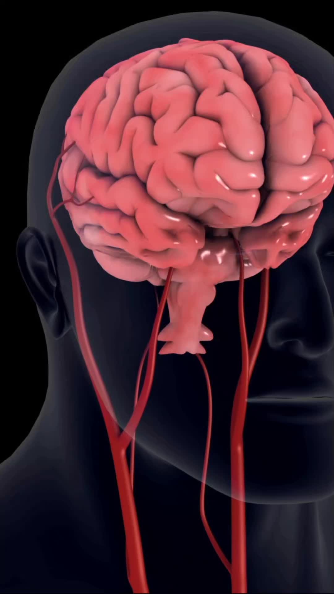 @InsideHumanLab