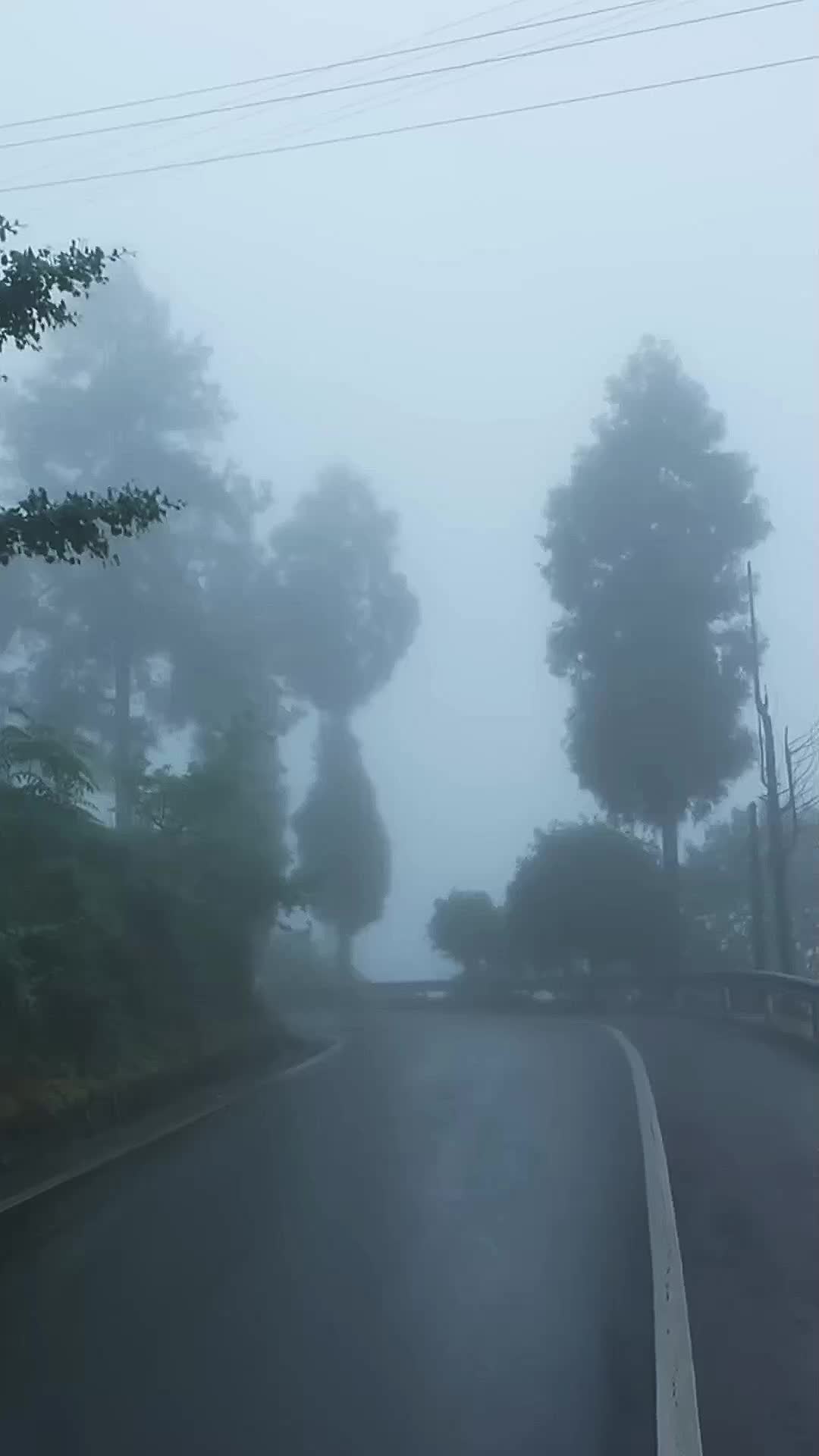 @Mountain_lover58599