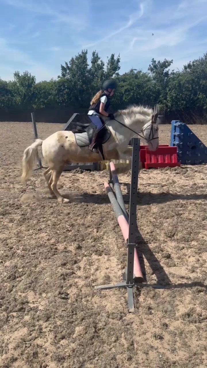 @LottiesHorseAdventures🦄🐴