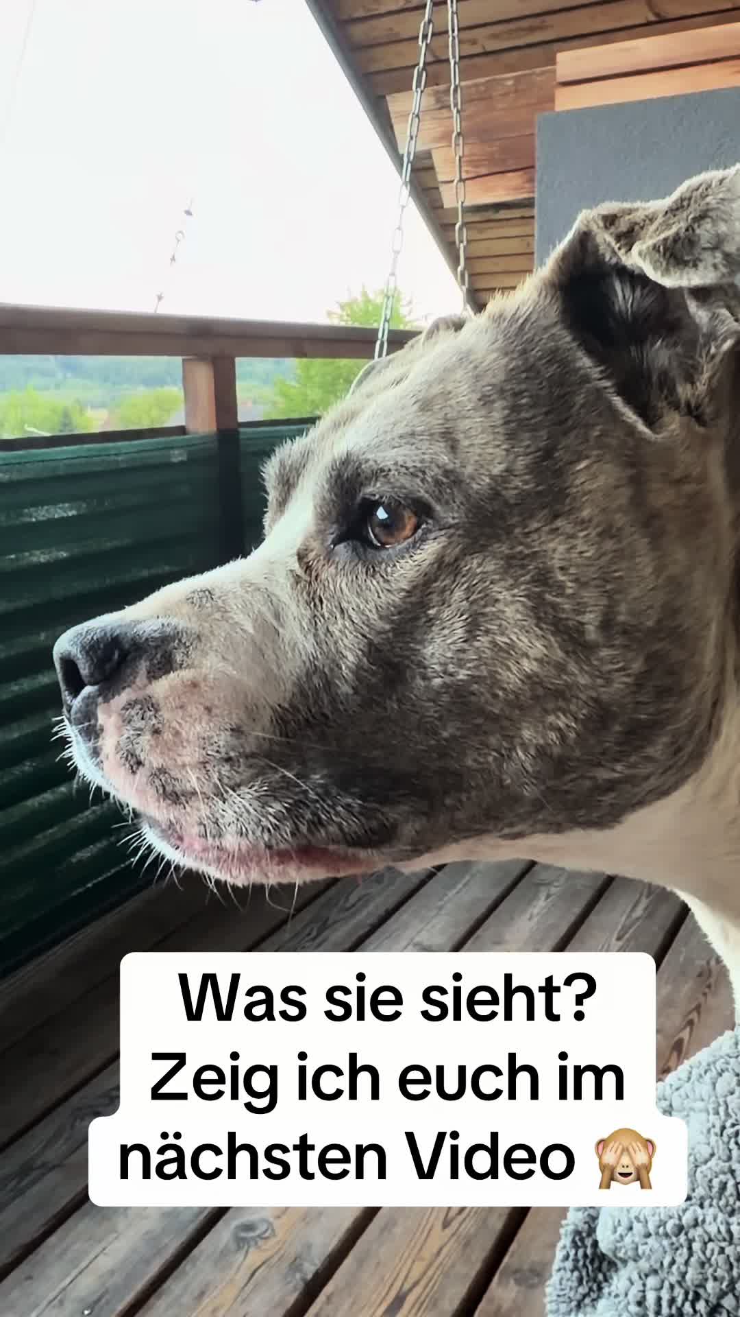 @brav.isser