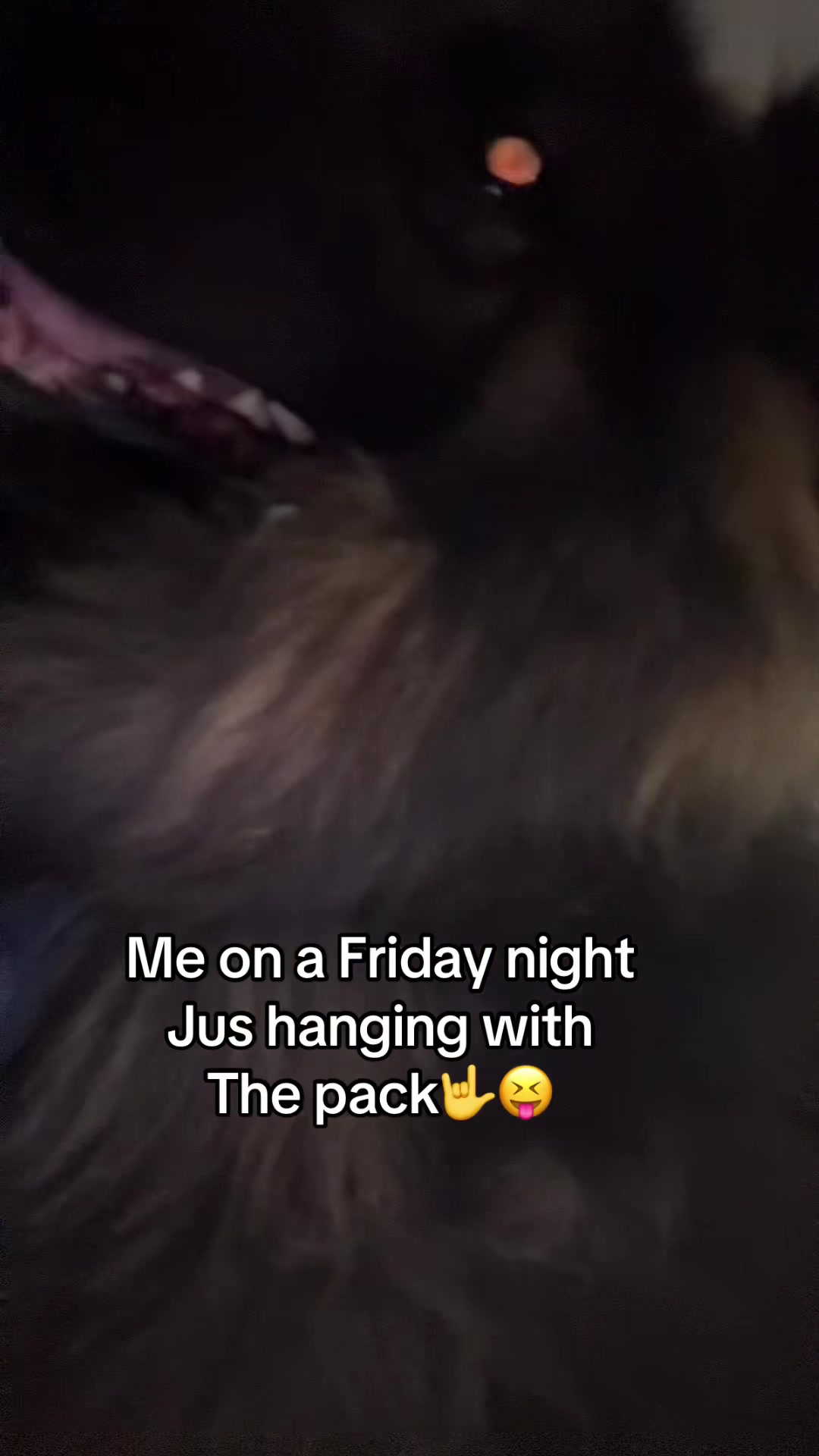 @Hoosieramanda