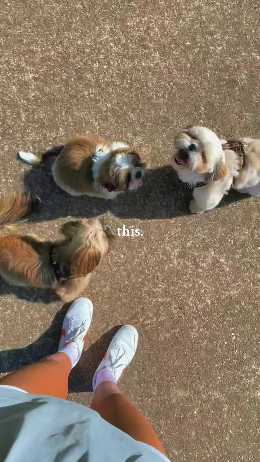 @Oscar😎  Lyalya 🥰 Hugo😜