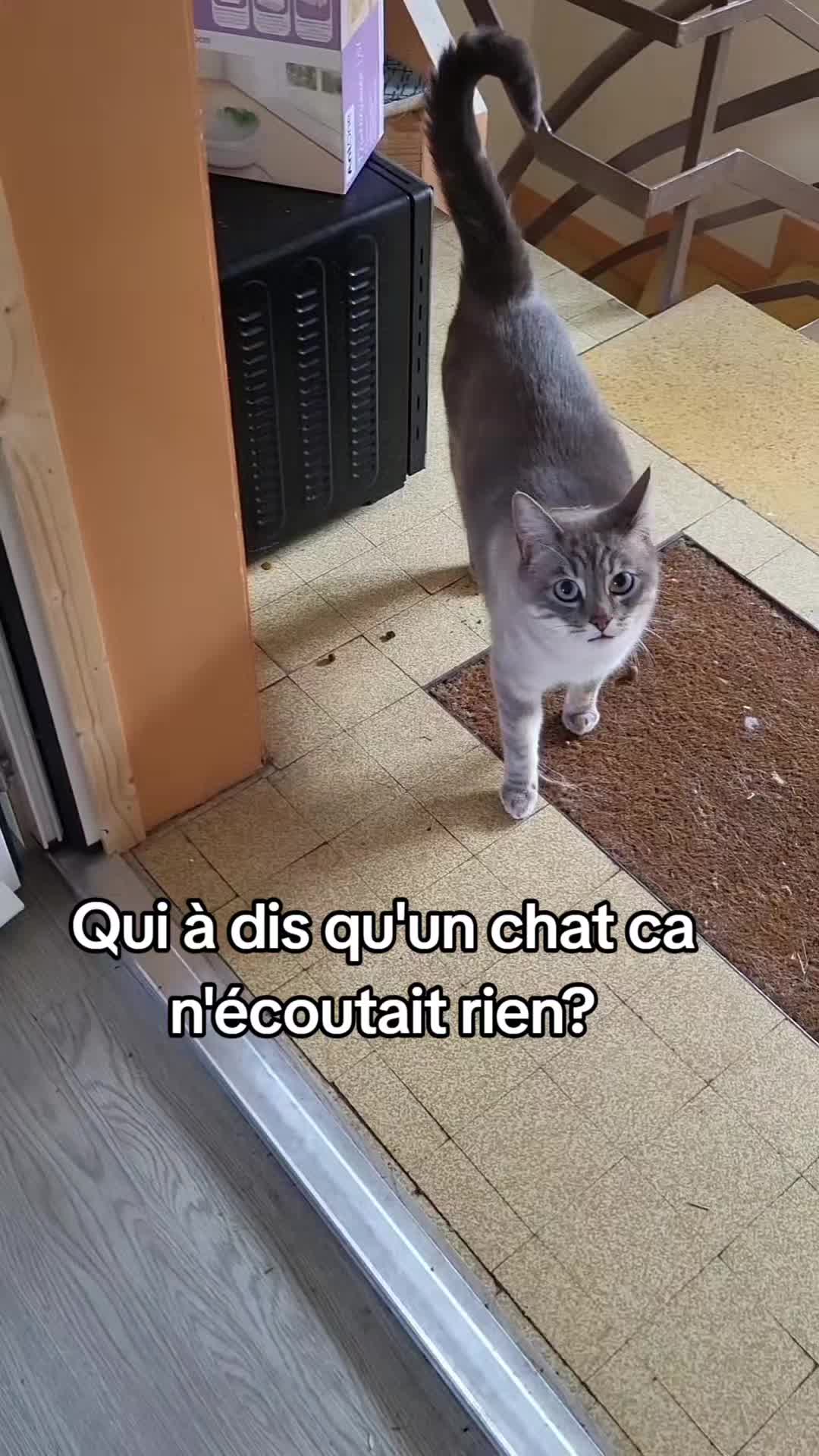 @La.petite.ferme