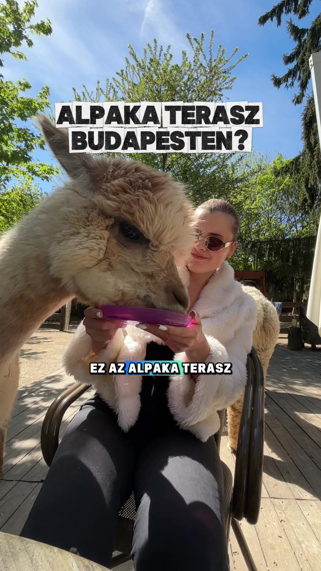 @Anna🌍✈️ | Utazás & Programok