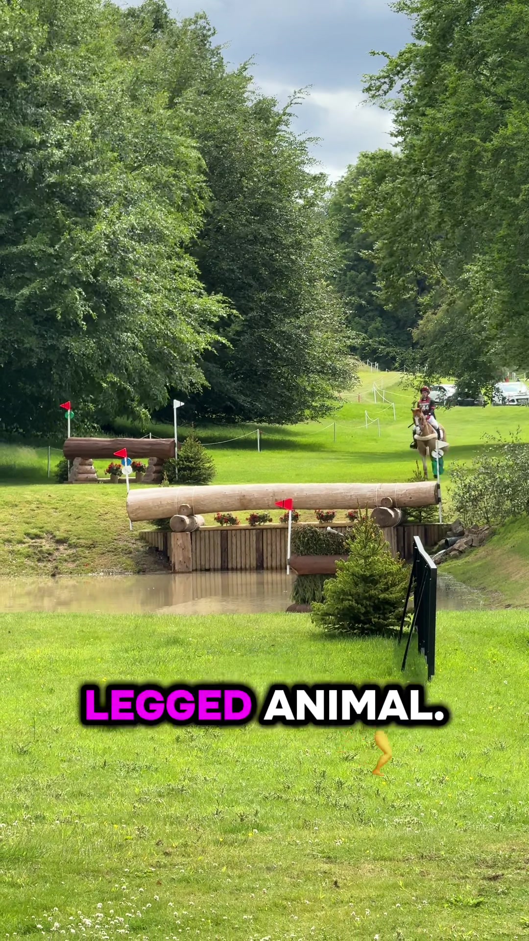 @𝐉𝐞𝐦𝐢𝐦𝐚𝐞𝐯𝐞𝐞𝐪 🐴