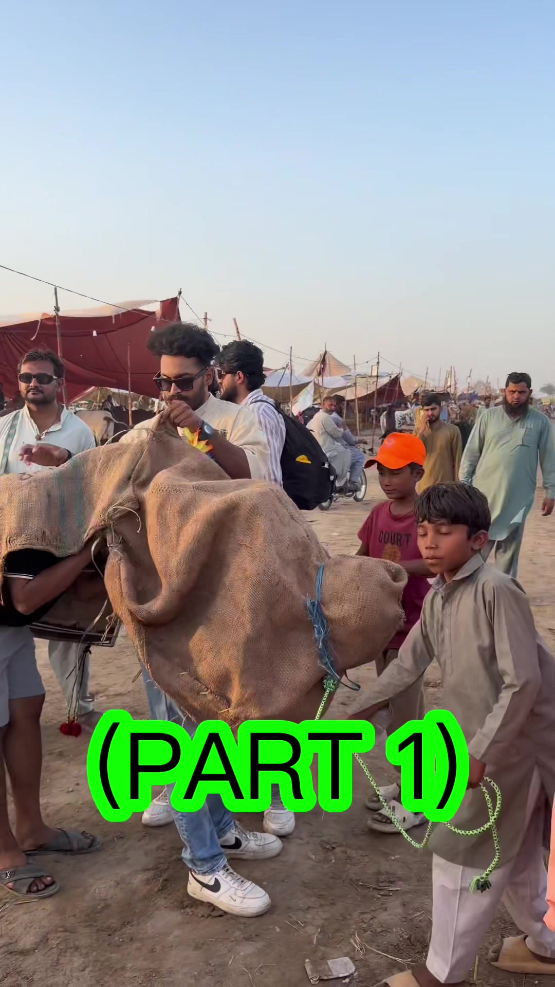 @Saud Prankster