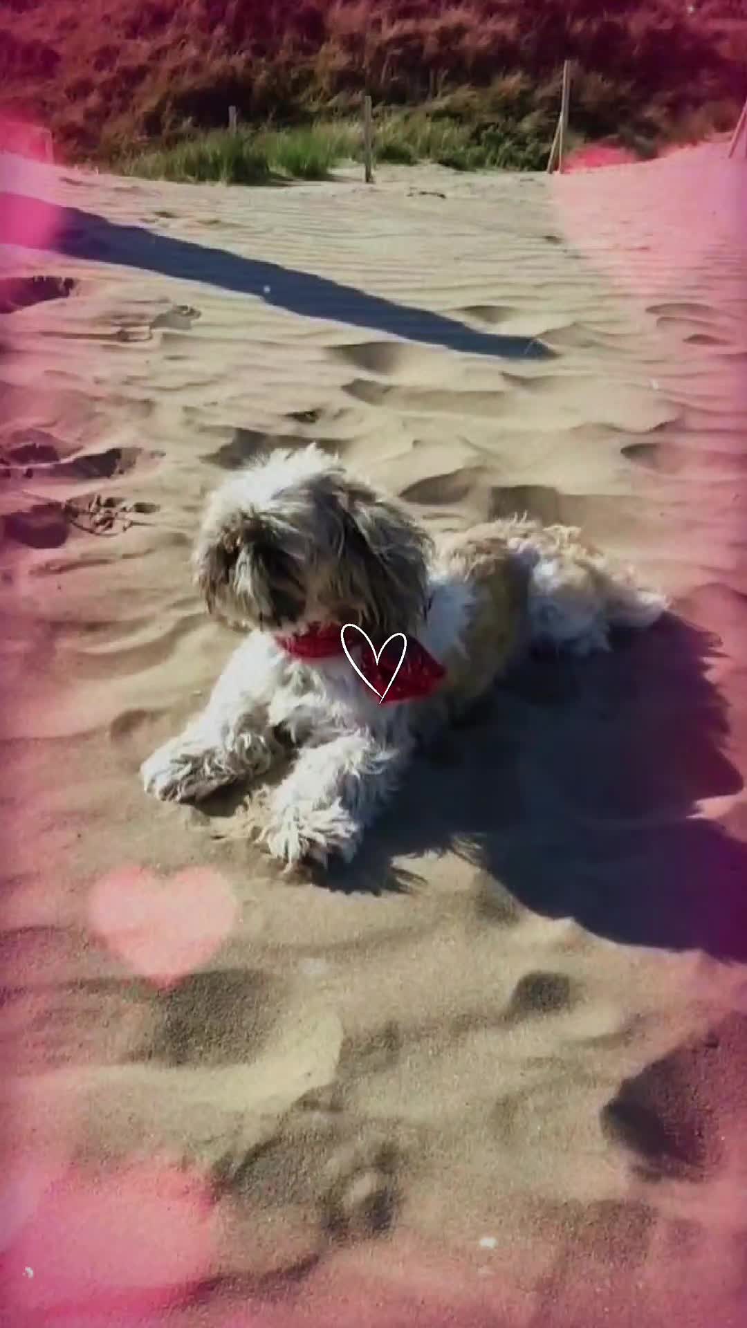 @KarenN