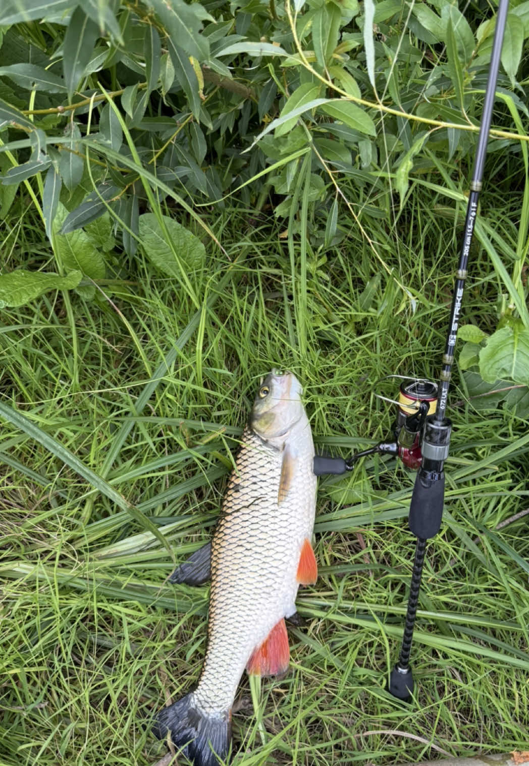 @FE_FISH