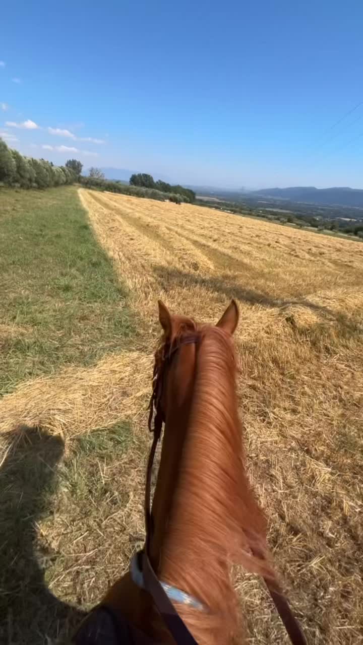 @R&ograve;🖤💫