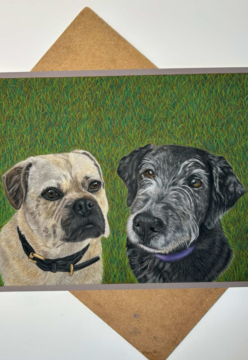 @Pet portraits