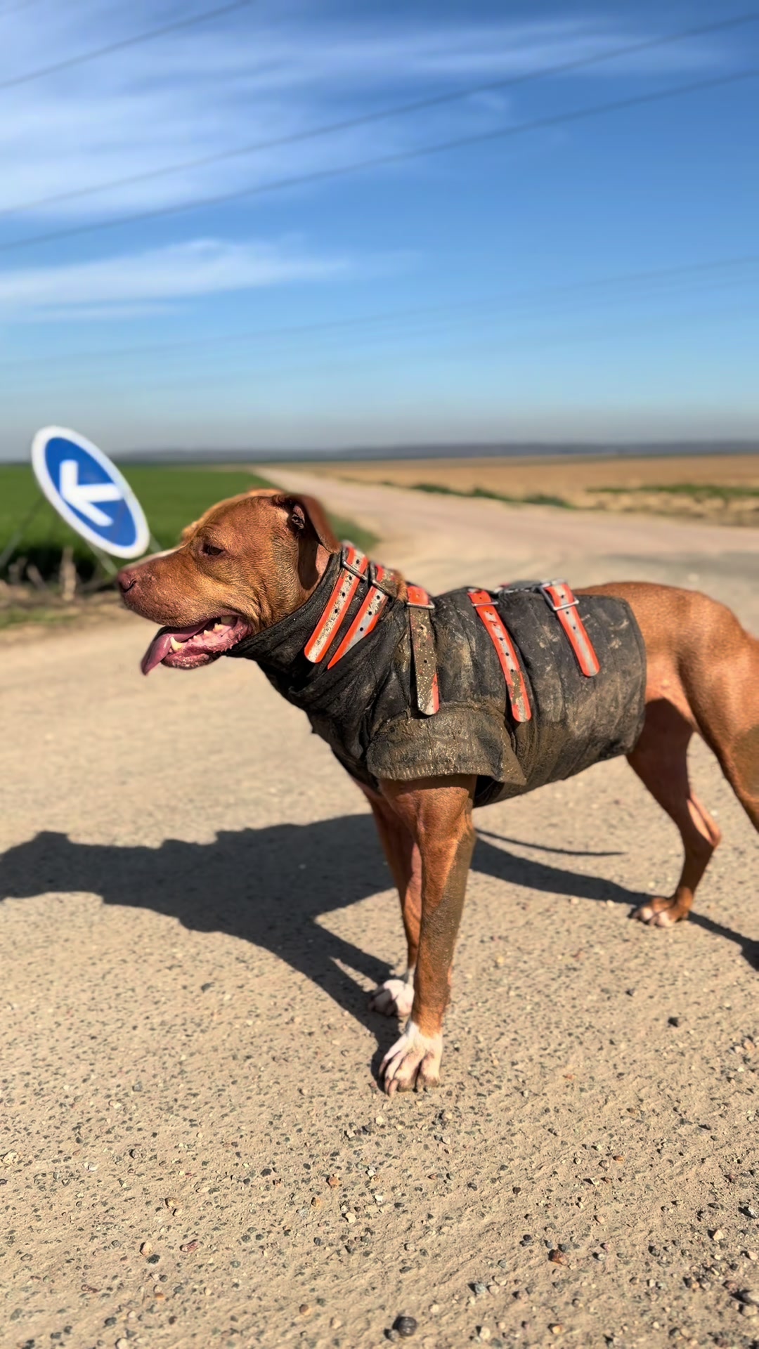 @kiara_isis_apbt