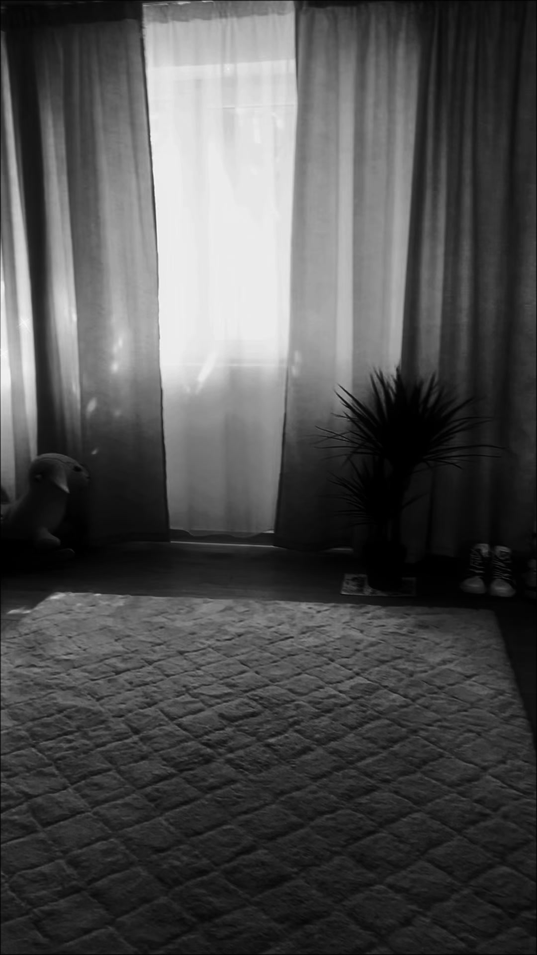 @S A M I R A