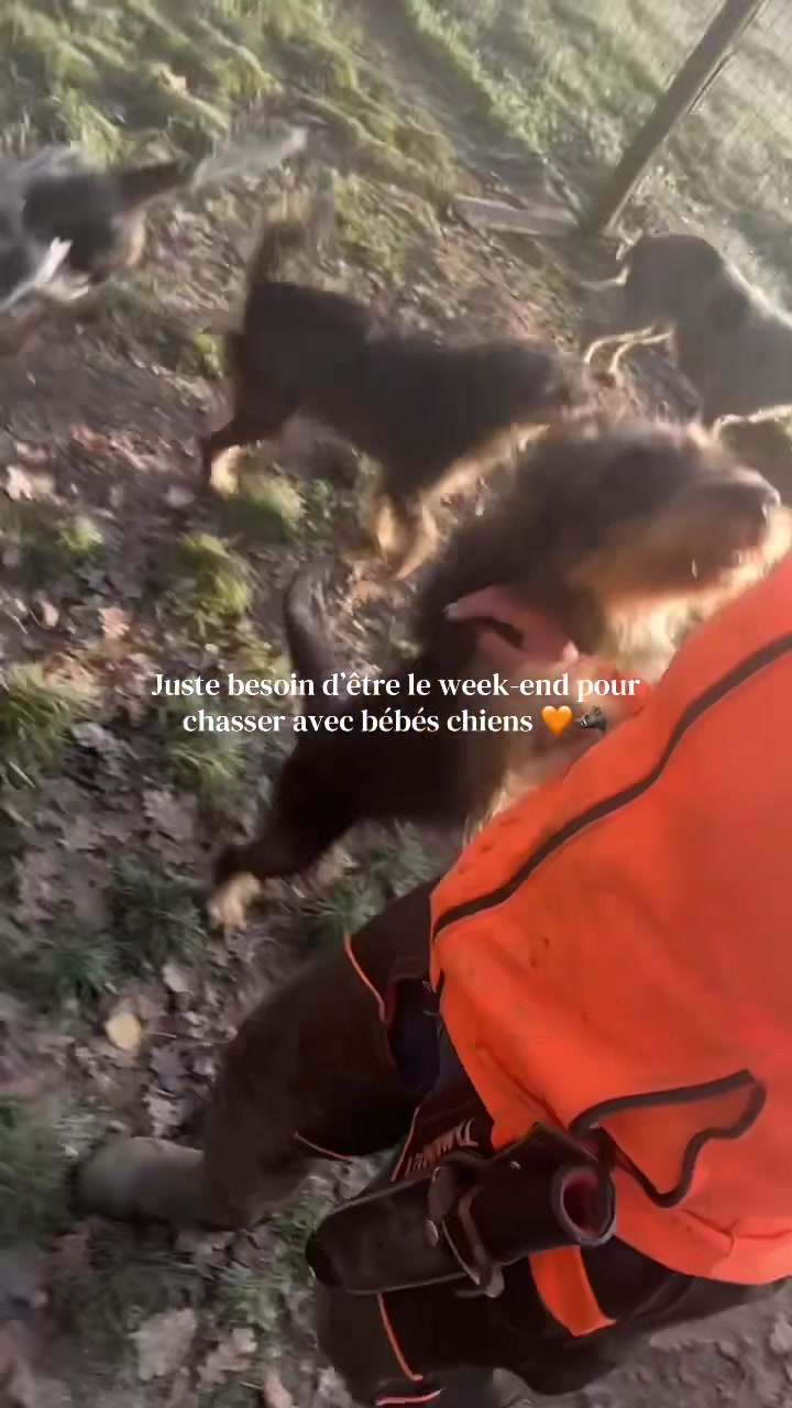 @Anaïs Huntress 🐗