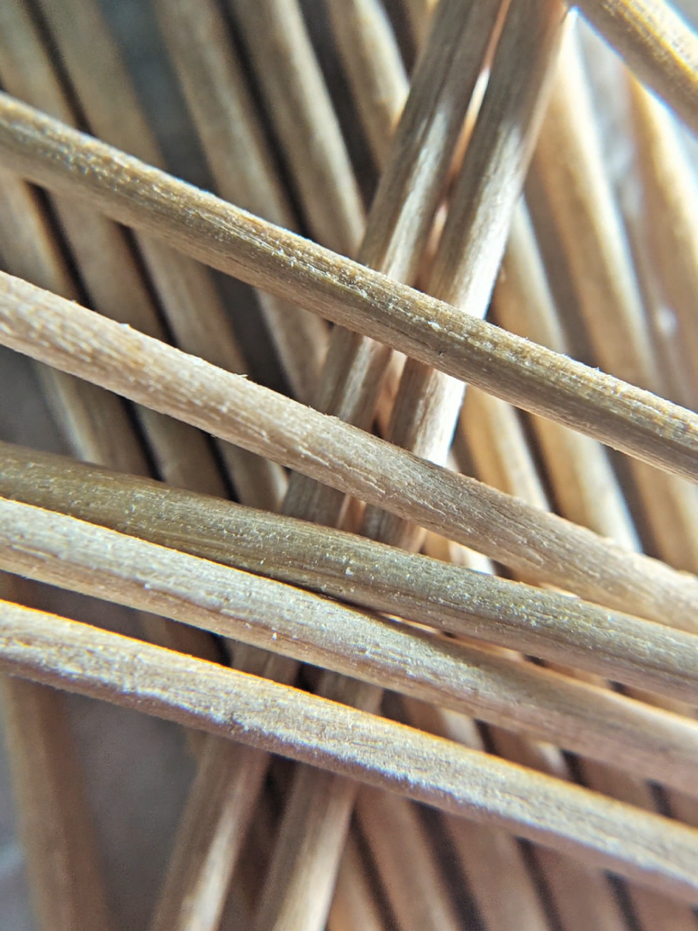 @Arny's Macro Vision