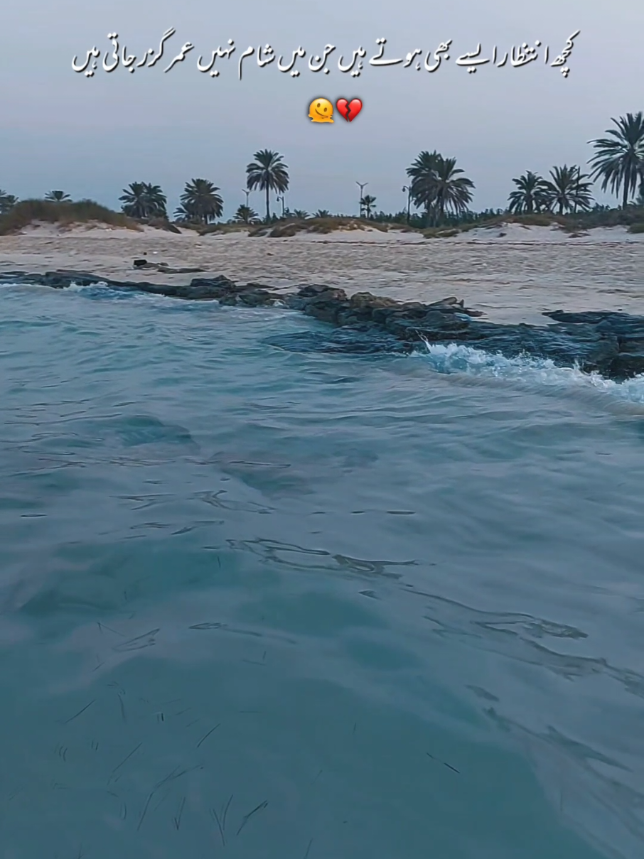 @عيوشي
