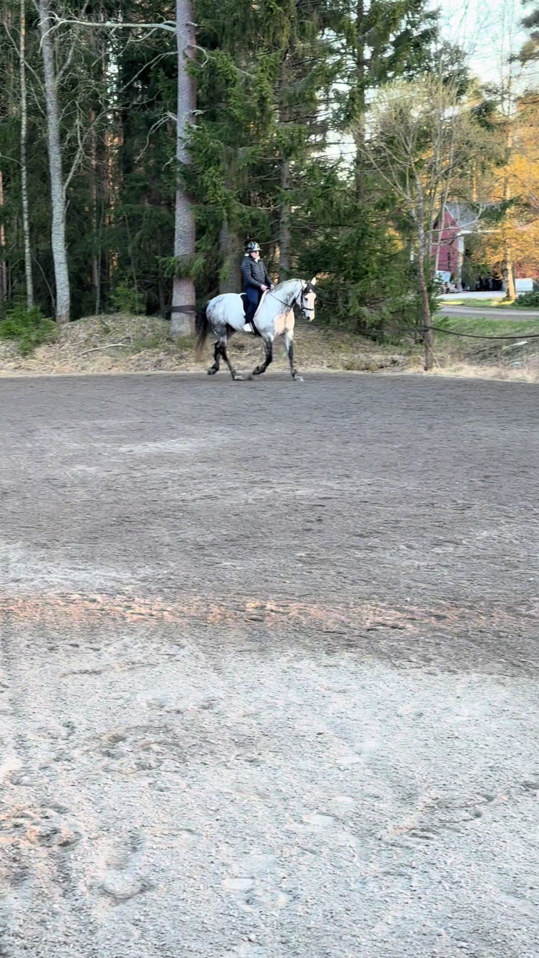 @Alice å Jack🌟