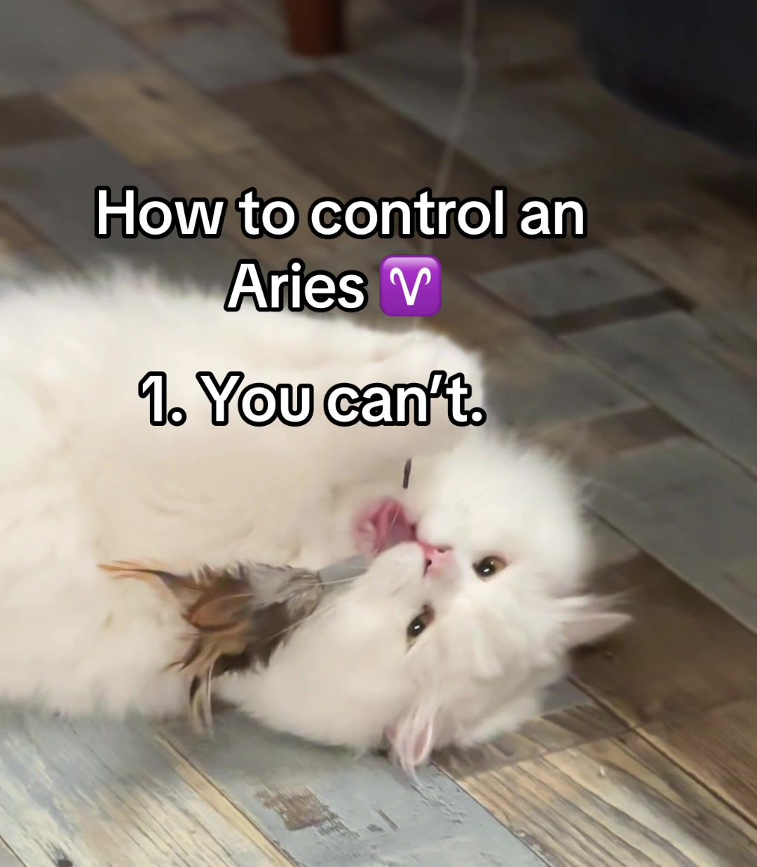 @aries_juli ♈️