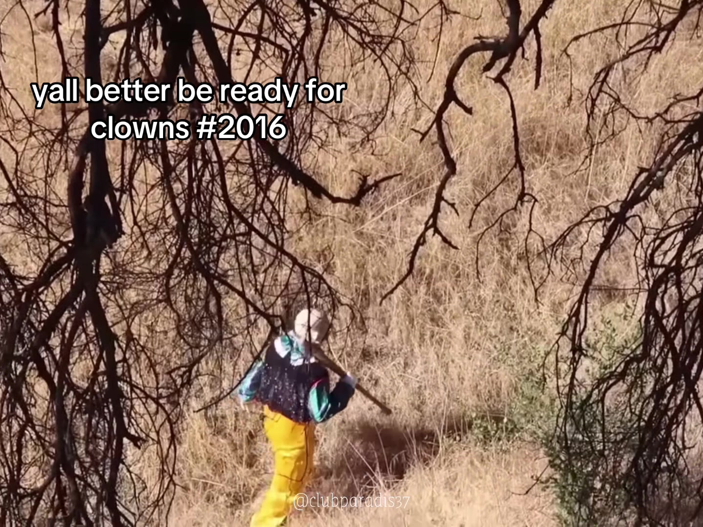 @ess