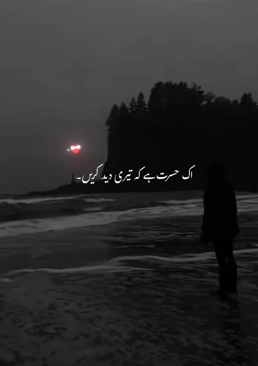 @محمد انور