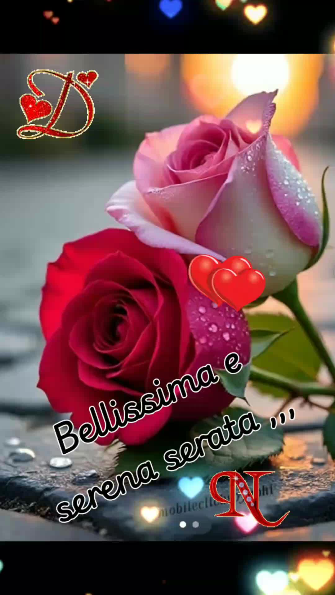 @Nicolae Iamandi