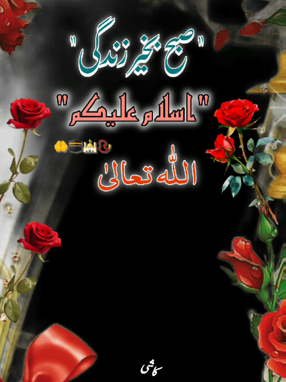 @کاشی رائٹس