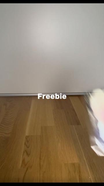 @𖦆☆♡✿&bull;𝐈-𝐃𝐋𝐄&bull;✿♡☆𖦆
