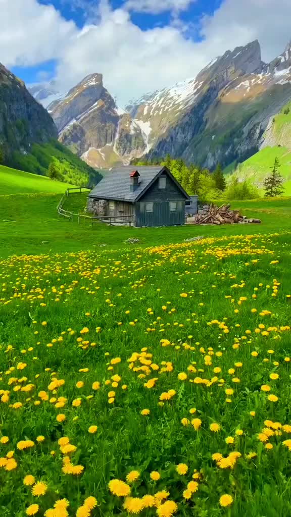 @🇨🇭başkan🇨🇭